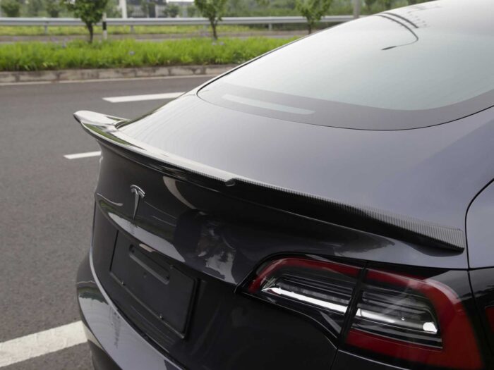Model 3_Sportive Tail Spoiler (ABS + coating)