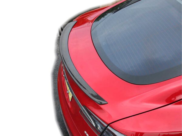 Model S_Tail Spoiler (Genuine Carbon Fiber Collection)