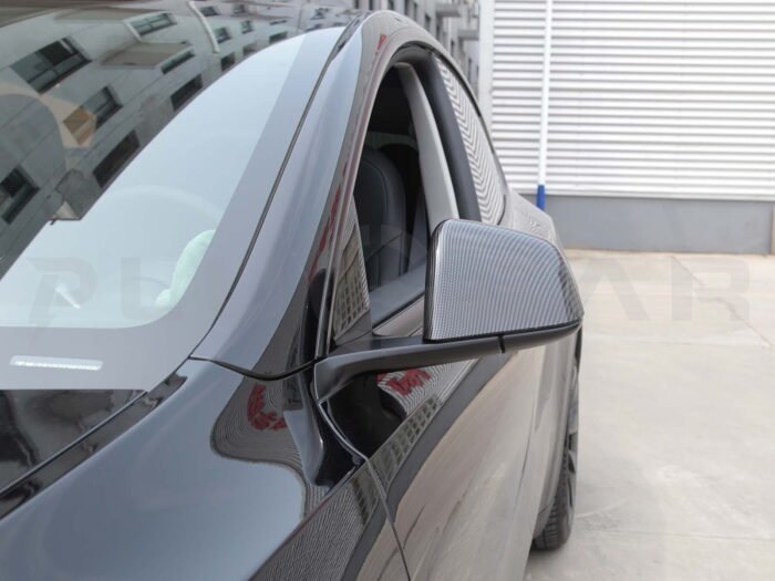 Tesla Model Y_Rear View Mirror Cover Set (ABS + Coating)