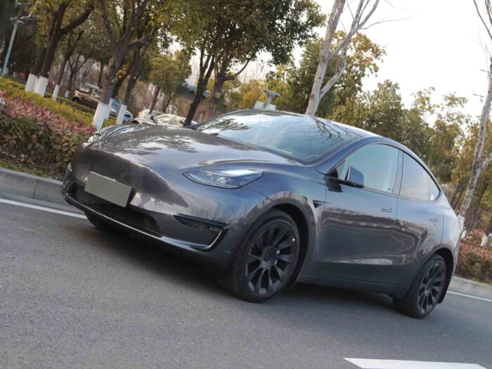 Tesla Model Y_Fog Lamp Trim Set (ABS, 2 pcs)
