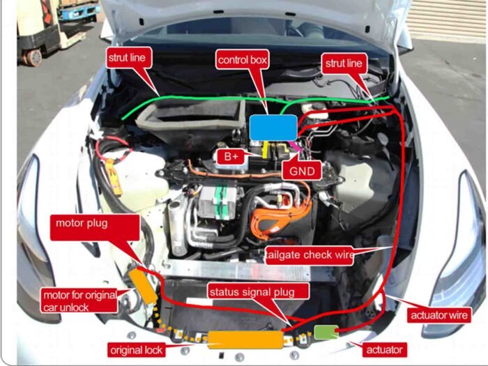 Model Y:Power Frunk, Electric Frunk